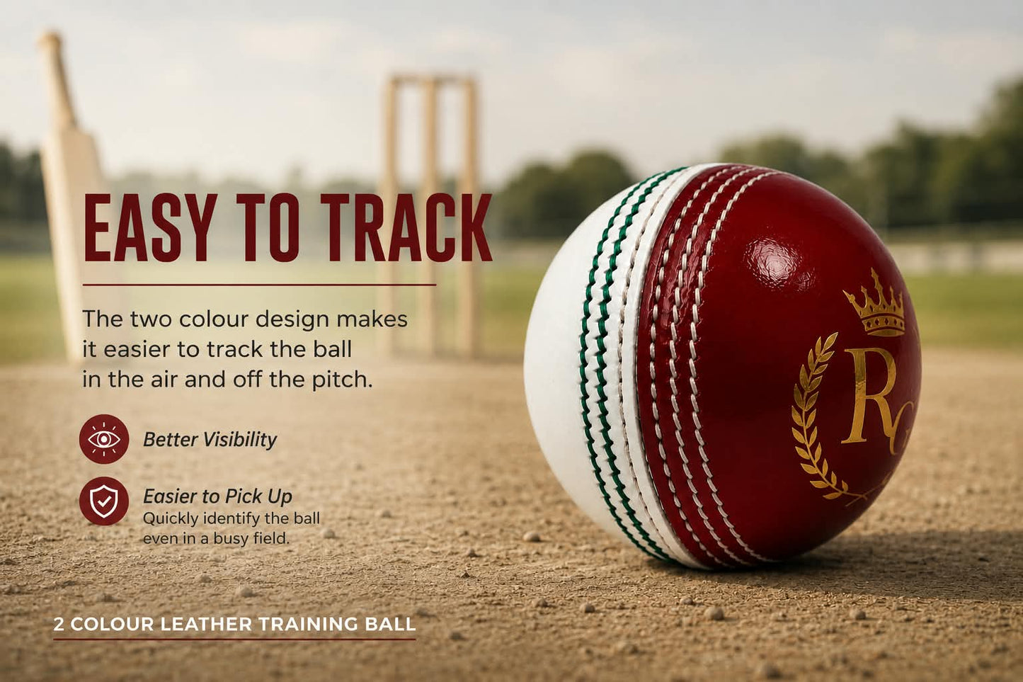RG Classic Two-Tone Training Ball