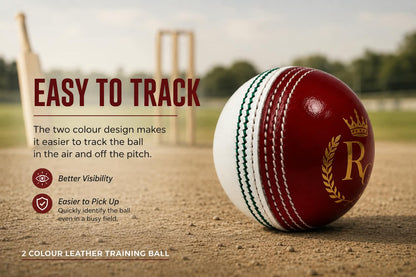 RG Classic Two-Tone Training Ball