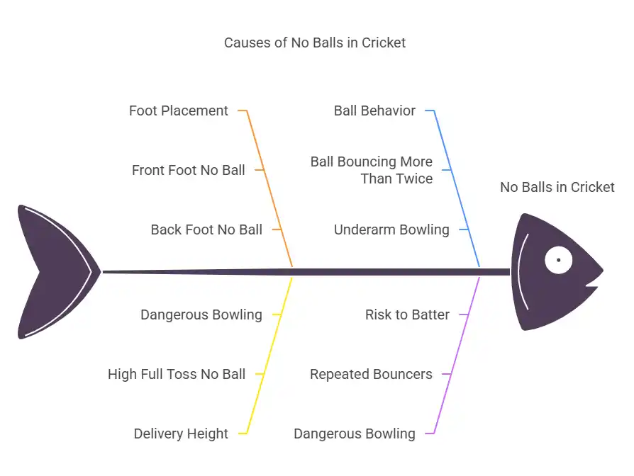 Types of No Balls in Cricket